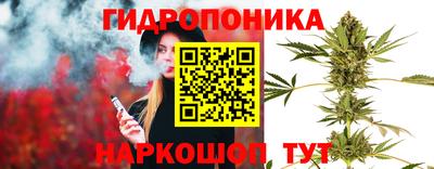 амф Ярославль
