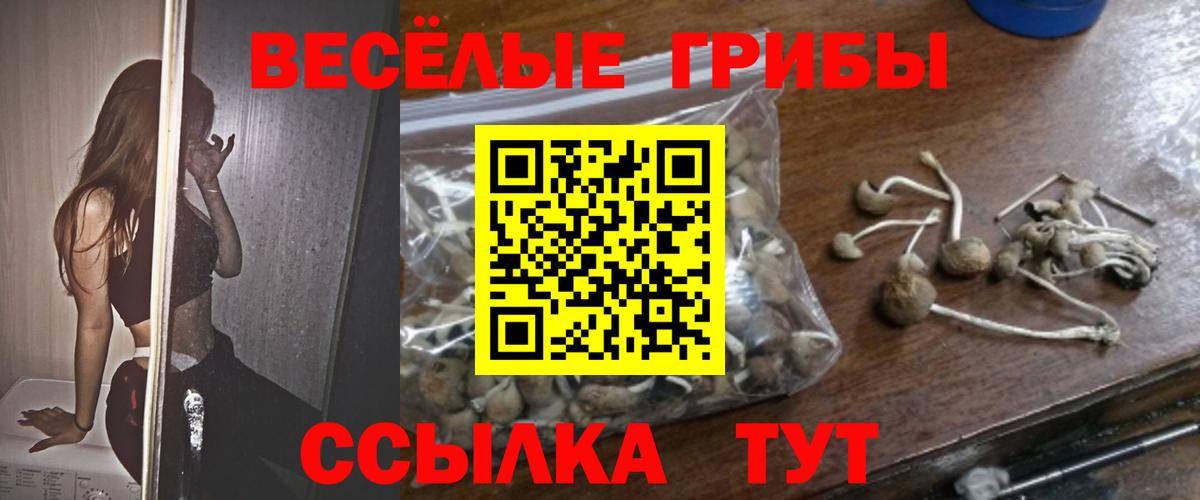Галлюциногенные грибы Psilocybine cubensis  Вход с VPN  Бузулук 